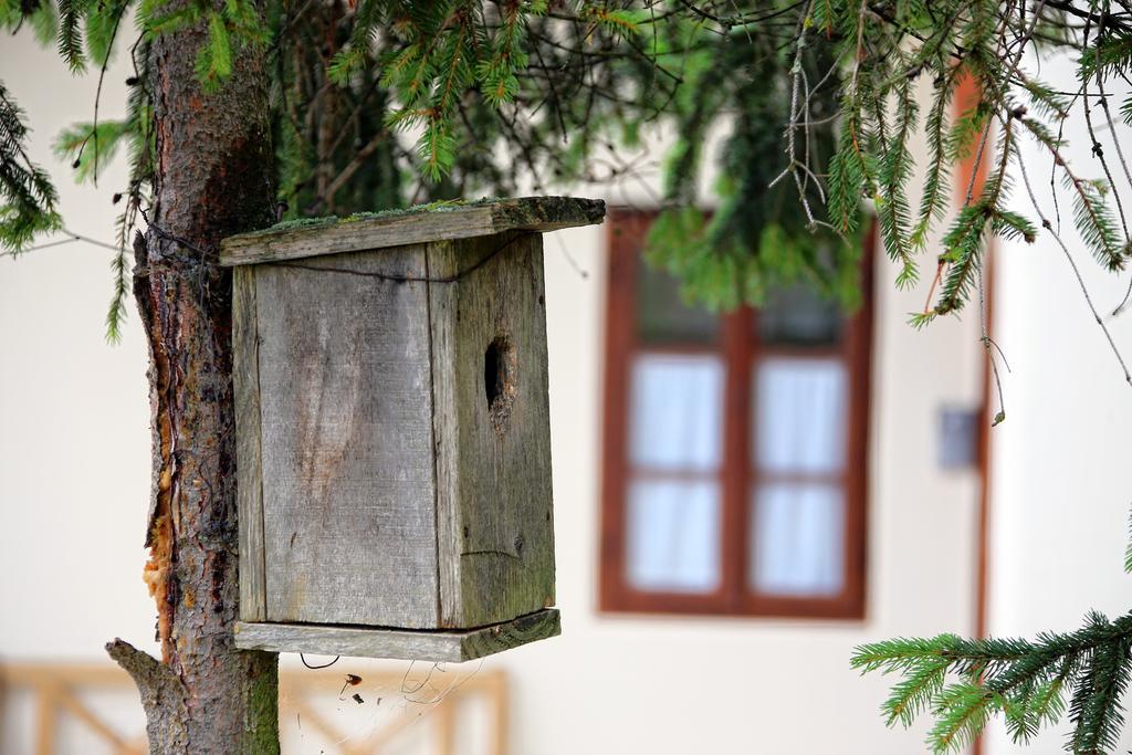 Pomona Relaxing Nature Guest House Rogaska Slatina Ngoại thất bức ảnh